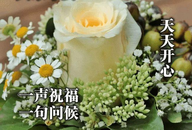 下午好表情包带字问候