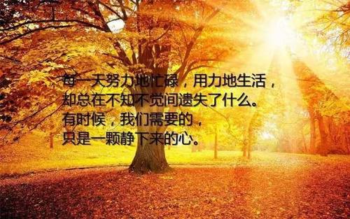 最精辟的人生感悟语录一句顶万句