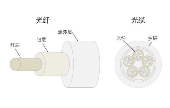 光纤主要由纤芯,包层,涂覆层组成.