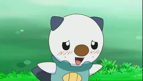 水水獭图片萌图