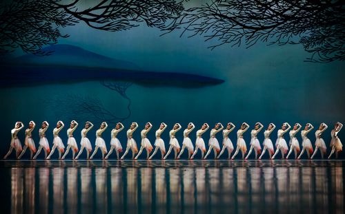 大型原创舞剧《朱鹮》