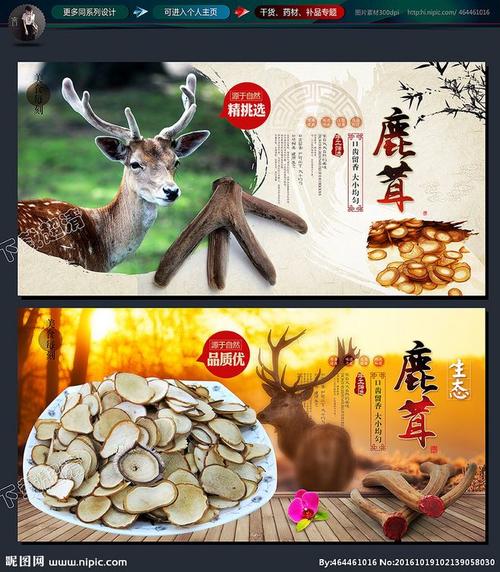 鹿茸 鹿茸片 鹿茸展板 鹿茸海报 鹿茸广告 鹿茸宣传 鹿茸灯箱 鹿茸挂