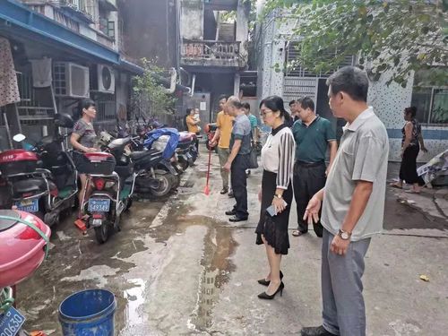 登革热防控 |琼山区委副书记,区长王和娇深入府城街道督导登革热防控