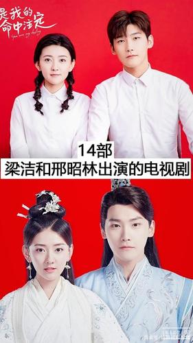 14部邢昭林和梁洁出演的电视剧,你看过哪几部?哪部最