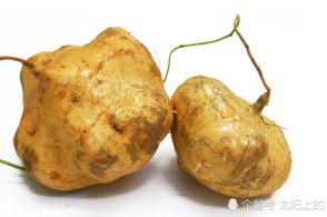 葛薯的功效作用