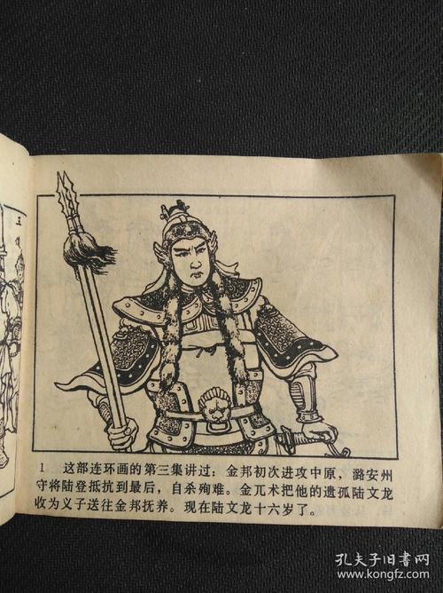 双枪陆文龙(岳传之十三)