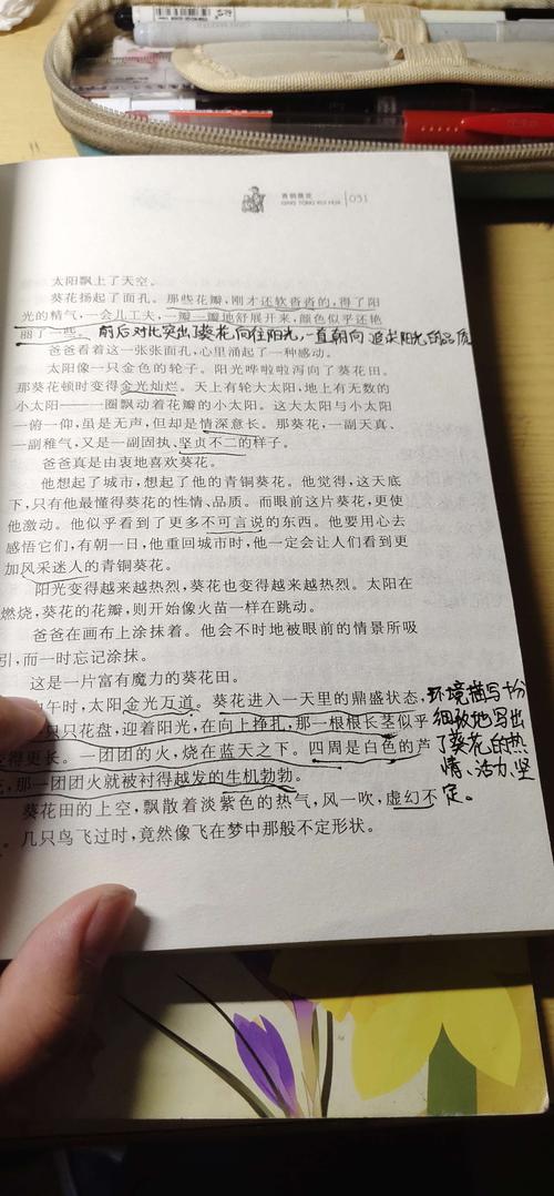 青铜葵花 范容若的批注