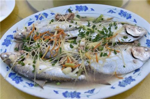 离中山城区仅30分钟车程!63公里水岸线 最新鲜当造河鲜