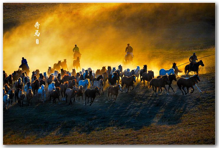 万马奔腾