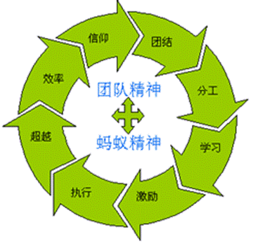 蚁族文化小身躯承载着大使命