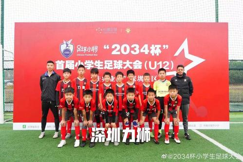 2034杯小学生足球大会分区预赛晋级名单