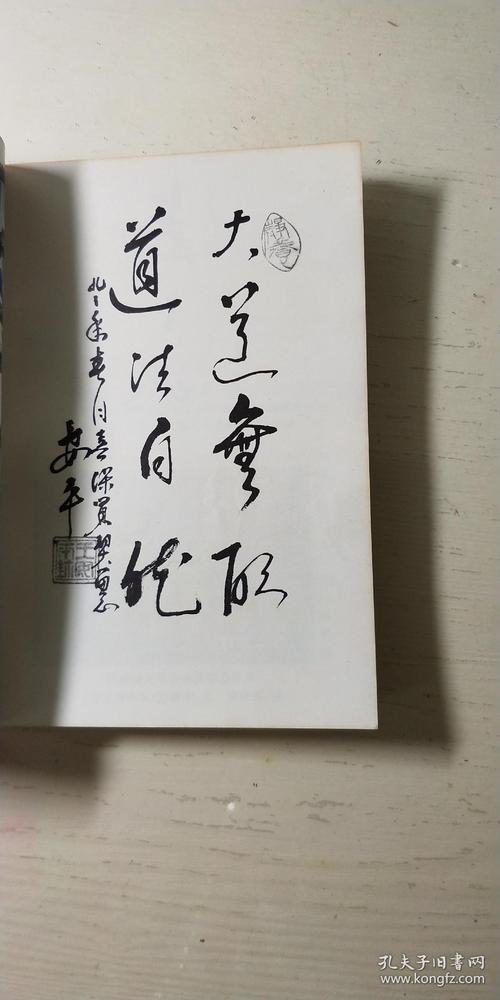 气之瑰:意拳气功大师王安平传奇