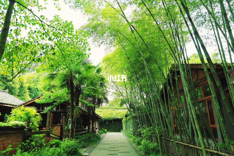 新津斑竹林_景点_新津斑竹林公园攻略_斑竹林景区_出行_人文风光展示