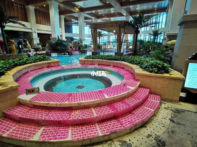 齐河孔雀王蓝海御华酒店温泉之旅_温泉_温泉酒店_自助