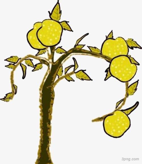 手绘矢量梨树png素材透明免抠图片-动植人物