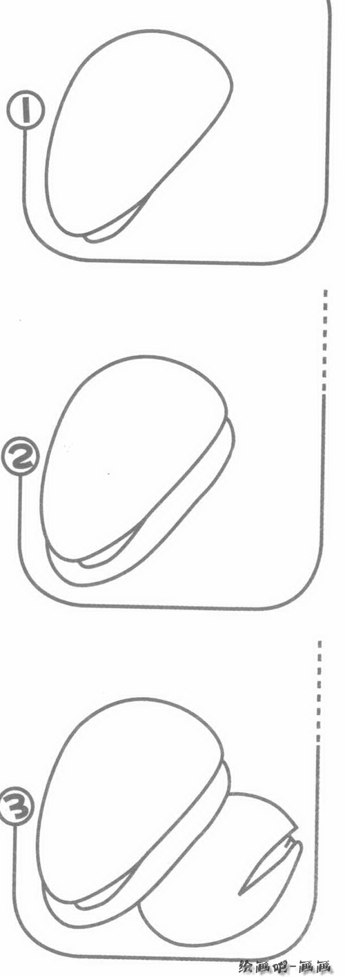 松子简笔画分解步骤图教程