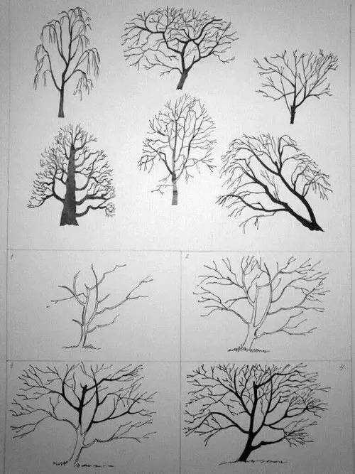 这篇帖子教你如何画树!_素描_零二七艺考