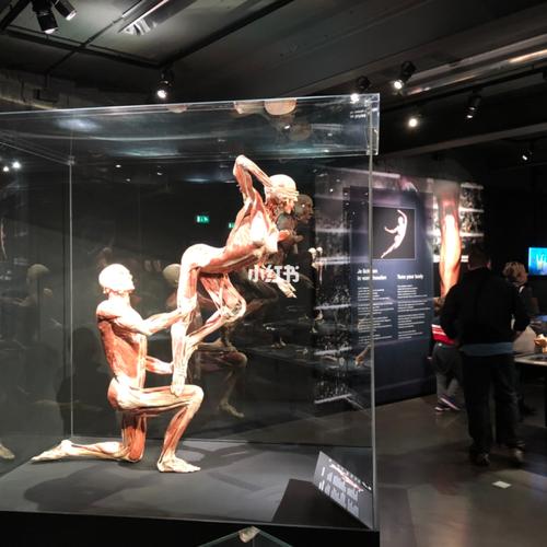 阿姆斯特丹性爱博物馆人体博物馆真人秀表演_博物馆_真人秀_麦当劳