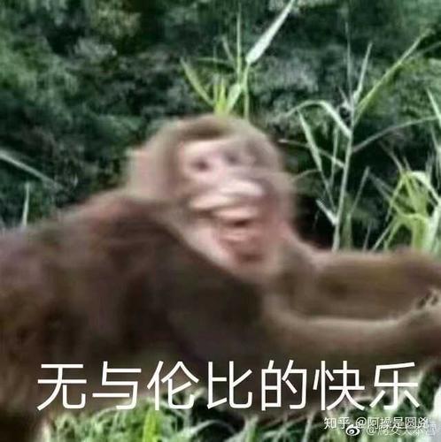 沙雕视频哈哈哈哈