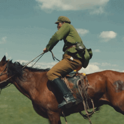 一起看海哥骑马