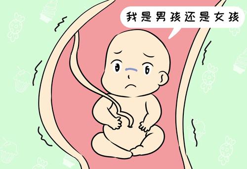 孕妈怀上宝宝之后,到底会不会出现"男女反转"?看完你就知道了