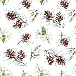 手绘逼真松子壁纸jpg背景素材