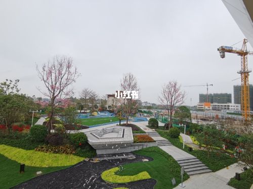 钦州碧桂园星悦湾,白石湖片区优质房源推荐