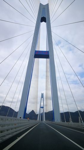 世界第一,平塘大桥(平里河大桥)