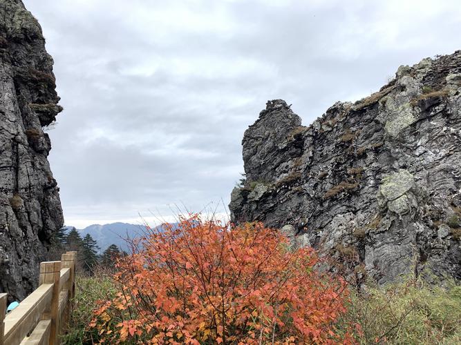 神农架国家公园