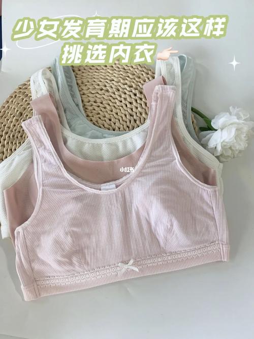 教你如何挑选少女发育期内衣_胸垫_内衣