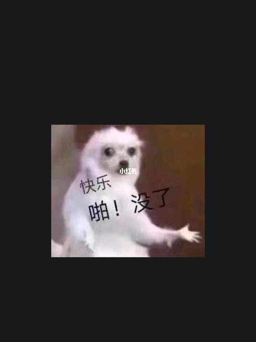 快乐没了_表情包_素材_表情包