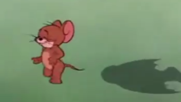猫和老鼠:汤姆追杀杰瑞和小鸟