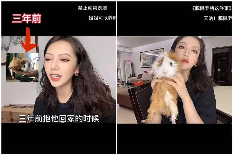 位于榜首的@thurman猫一杯,近期在各个平台都展现出很强的吸粉力.