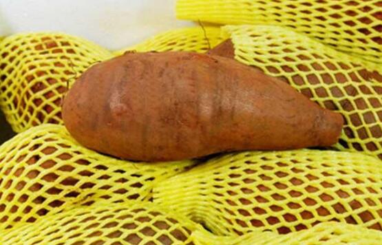 1,女生吃雪莲果不但有好处也有一些坏处,因为雪莲果是一种性质寒凉的