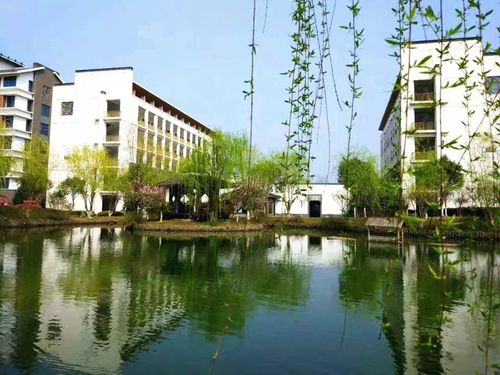 摄影:周新 江苏省江阴高级中学