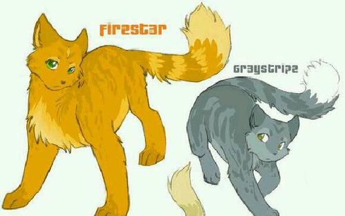 猫武士专辑(雷族猫介绍)