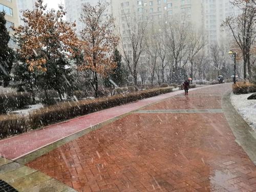 第一场春雨—"雨夹雪"