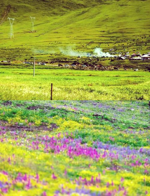 西藏,这片神秘而壮丽的土地,藏着无数令人心驰神往的草原美景