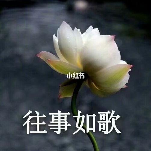 老年人表情包hhh_表情包_老年人_表情包分享_素材