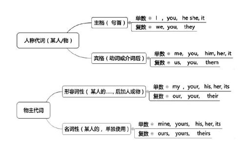 于是笔者设计了人称代词和物主代词的思维导图