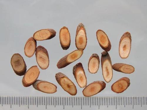 桂枝饮片(椭圆形大粒)