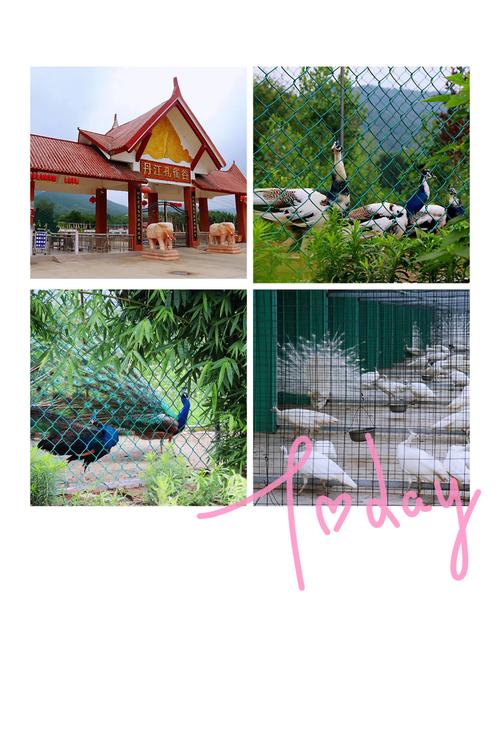 淅川八仙洞 游船 孔雀园1日游