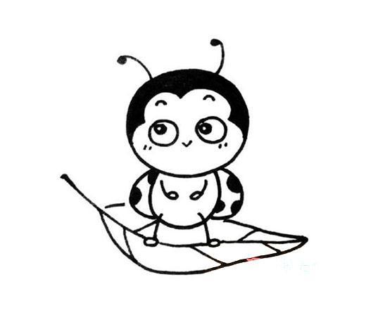 卡通瓢虫怎么画好看可爱_瓢虫简笔画图片