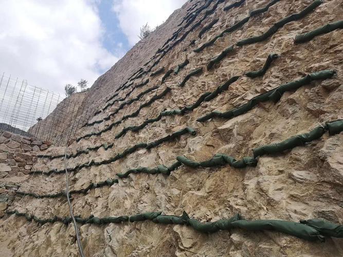 中阳县环保生态棒制造商诚信服务