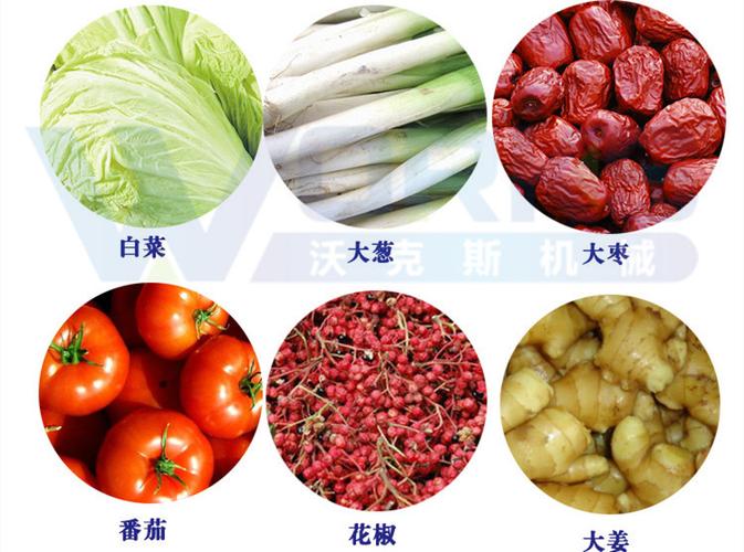 白菜清洗机定金 蔬菜清洗机 翻浪式气泡清洗机 毛豆清洗机 包邮