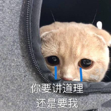 跟男朋友撒娇表情包:睡醒了,要抱抱