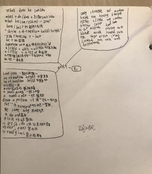 unit 9 思维导图