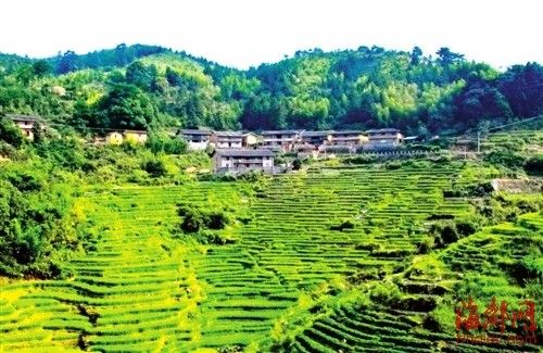 尤溪桂峰村 明清"小福州" -古典园林环境|自然山水园 - 中国景观网