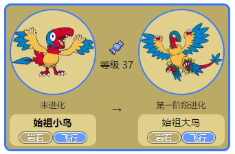 原盖海龟曾经生活在大约1亿年前的温暖大海里,但也会到陆地上来