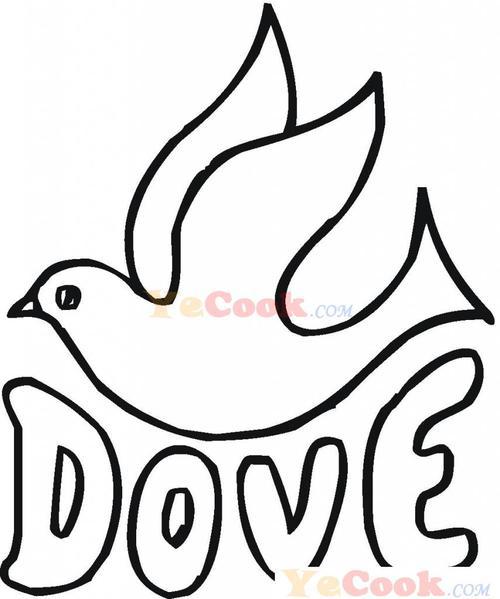 简笔画动物教程鸽子